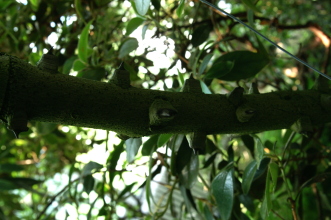 pict0174