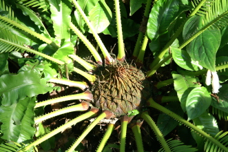 pict0177