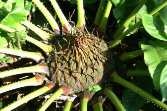 pict0178
