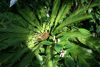 pict0179