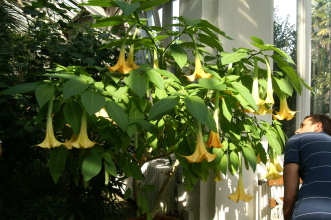 pict0180