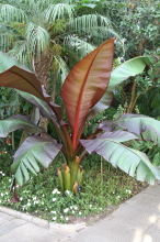 pict0187
