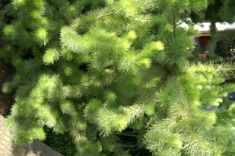 pict0195