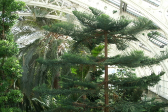 pict0200