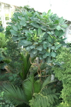 pict0209