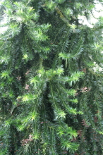 pict0211