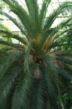 pict0212