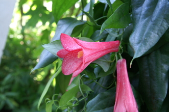 pict0217