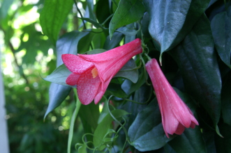 pict0218