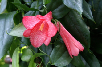 pict0221