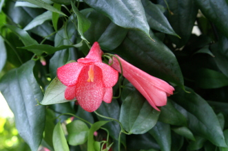 pict0222