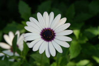 pict0230