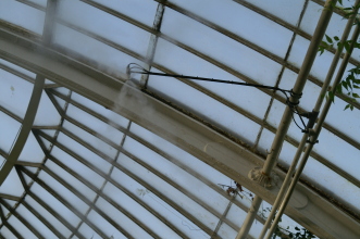 pict0243