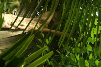 pict0245