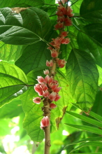 pict0253