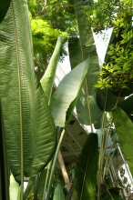 pict0256
