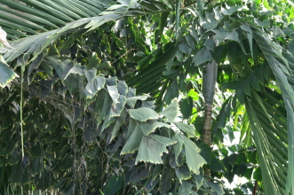 pict0263