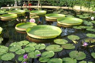 pict0279