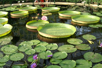 pict0280
