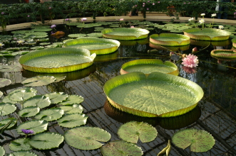 pict0284