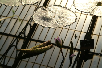pict0289