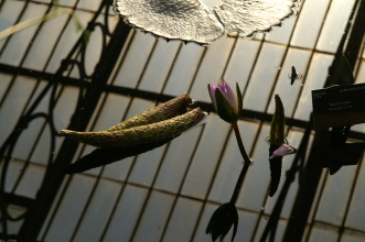 pict0290