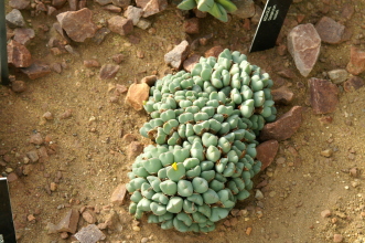 pict0314