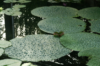 pict0326