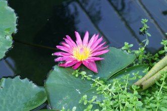 pict0327