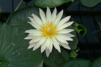 pict0328