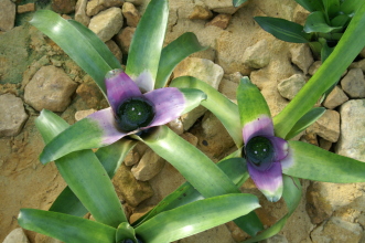 pict0331