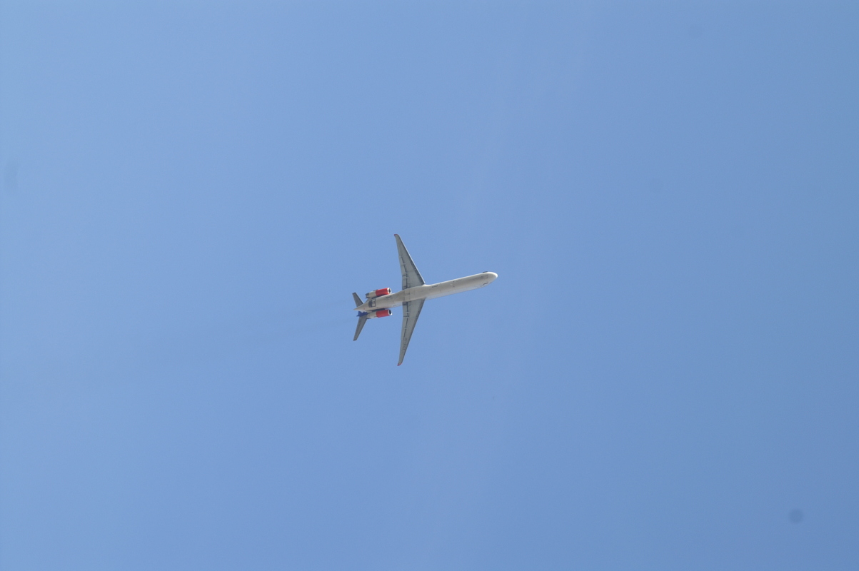 pict0019