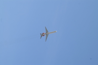 pict0019