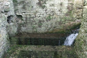 PICT2275
