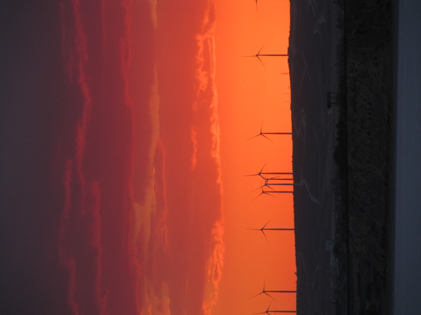 X_IMG_1580