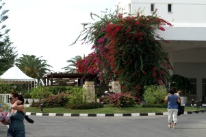 PICT4003