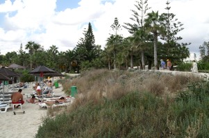 PICT4026