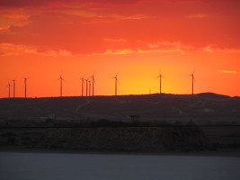 X_IMG_1577