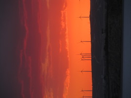 X_IMG_1580