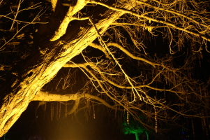 PICT4327