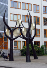 DSC00228