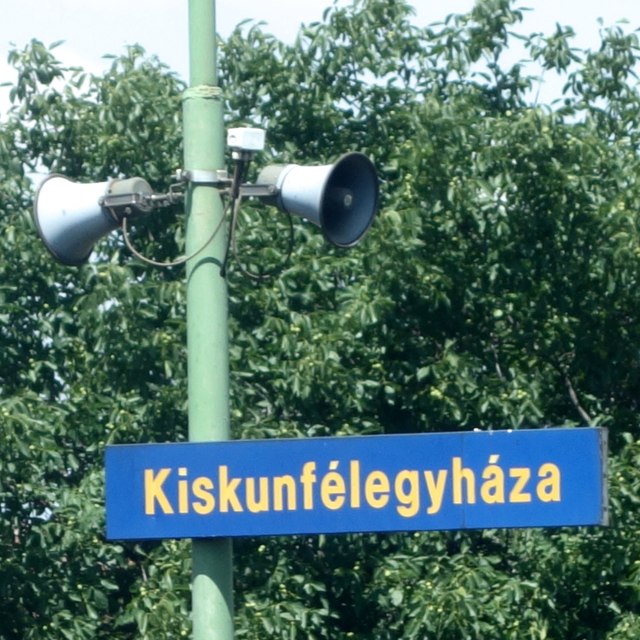 DSC00319