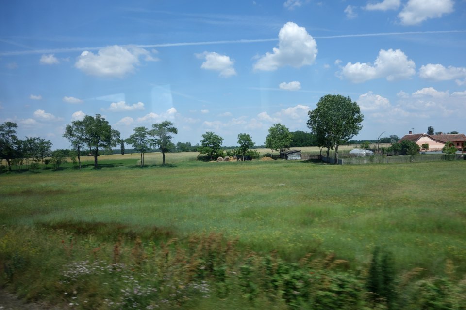 DSC00325