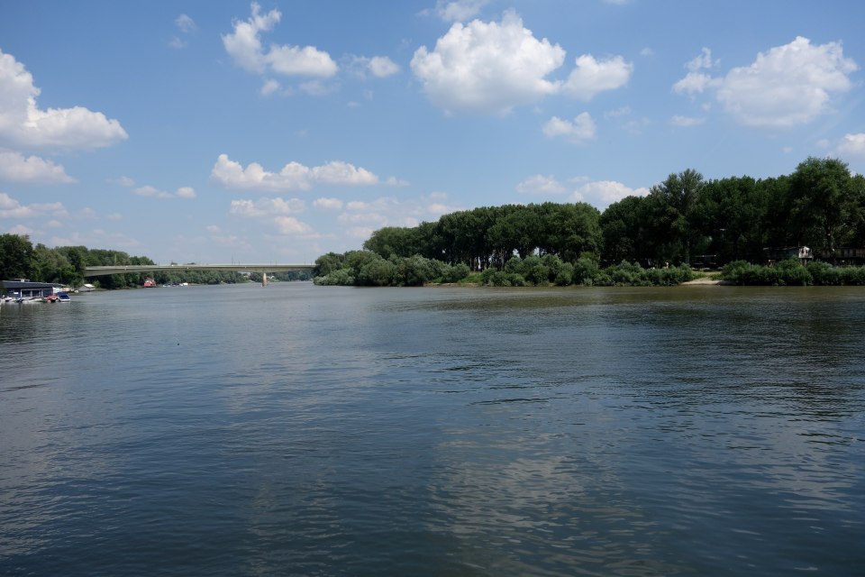 DSC00428