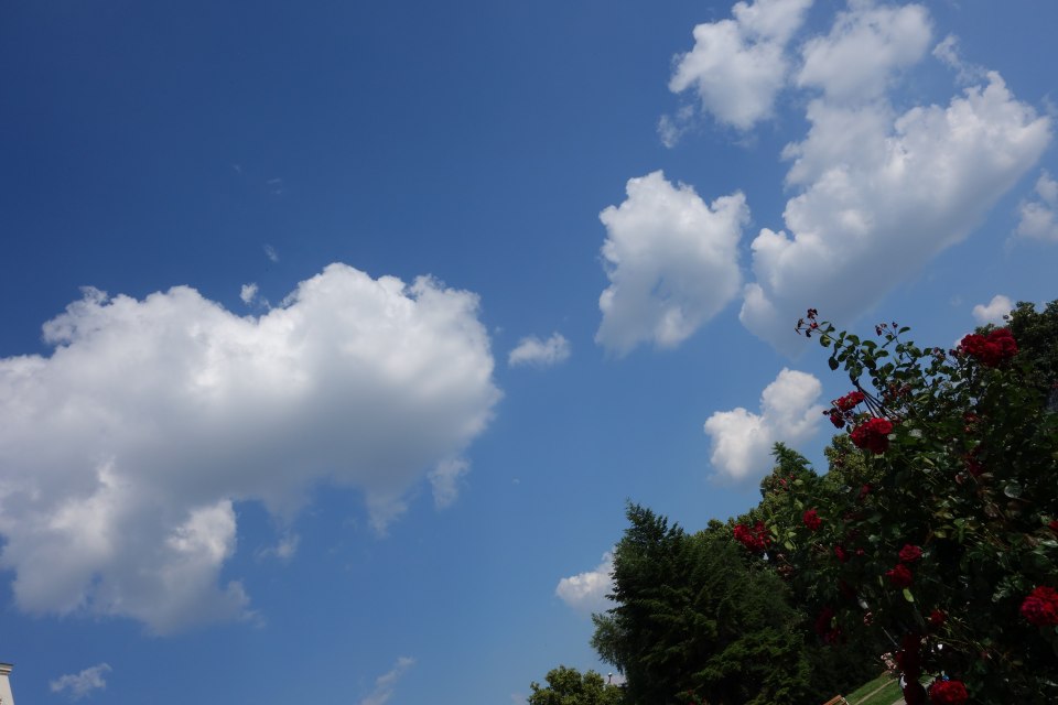 DSC00441