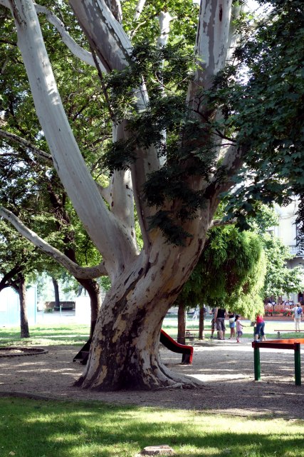 DSC00448
