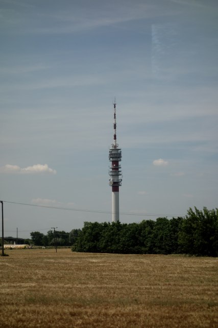 DSC00515
