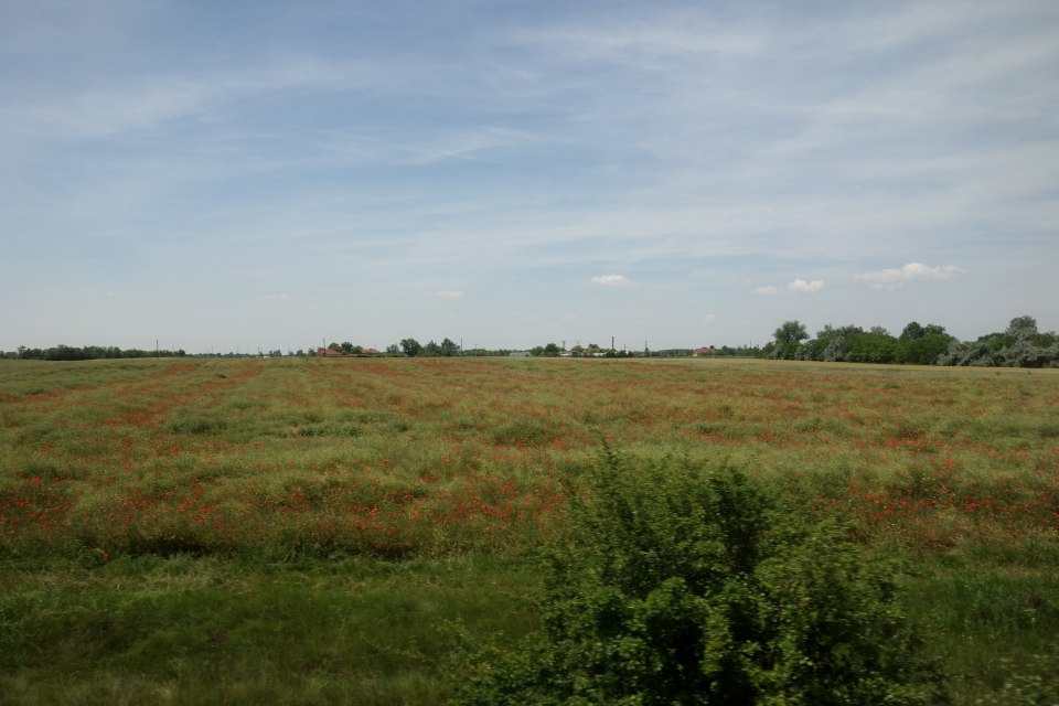 DSC00526