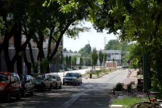 DSC00401