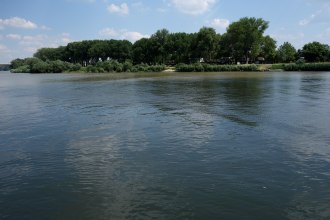 DSC00427